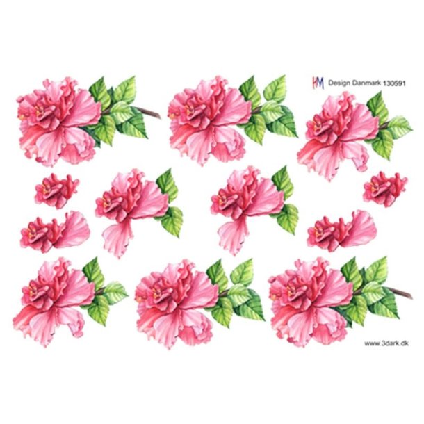 3D Pink rose