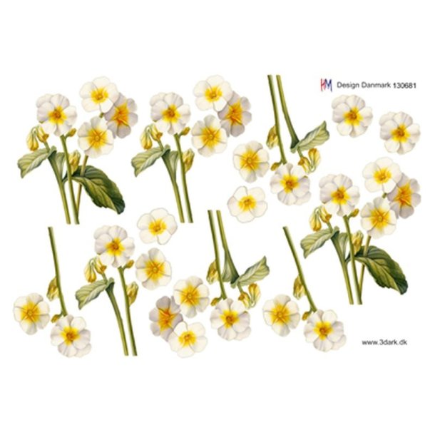 3D Hvide for�rsblomster