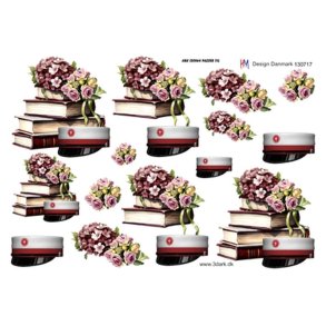3D B�ger og studenterhue med r�dt b�nd