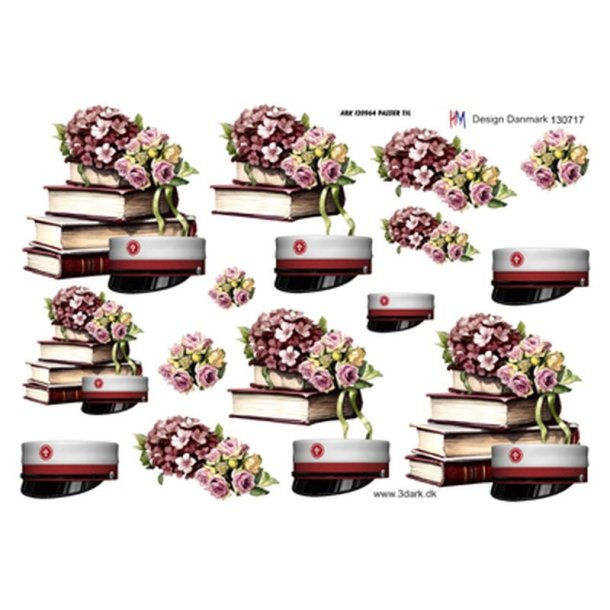 3D B�ger og studenterhue med r�dt b�nd