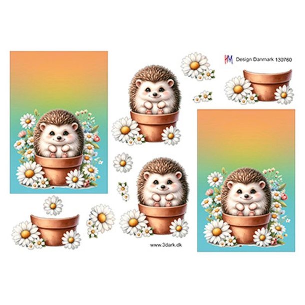 3D Pindsvin og margueritter