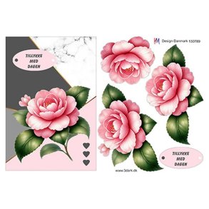 3D Flot lyser�d rose A5