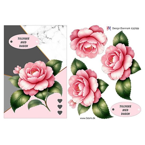 3D Flot lyser�d rose A5