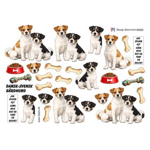 3D Dansk Svensk g�rdhund