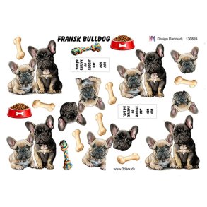3D Fransk bulldog