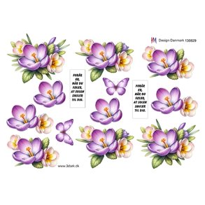 3D Krokus