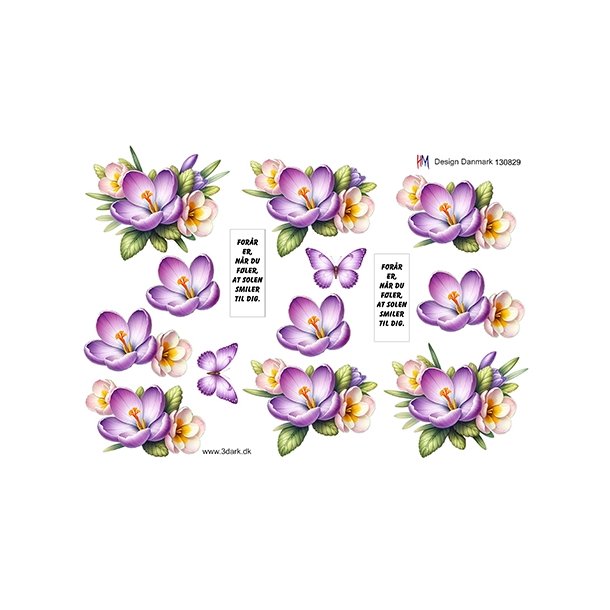 3D Krokus