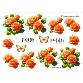 3D Orange roser
