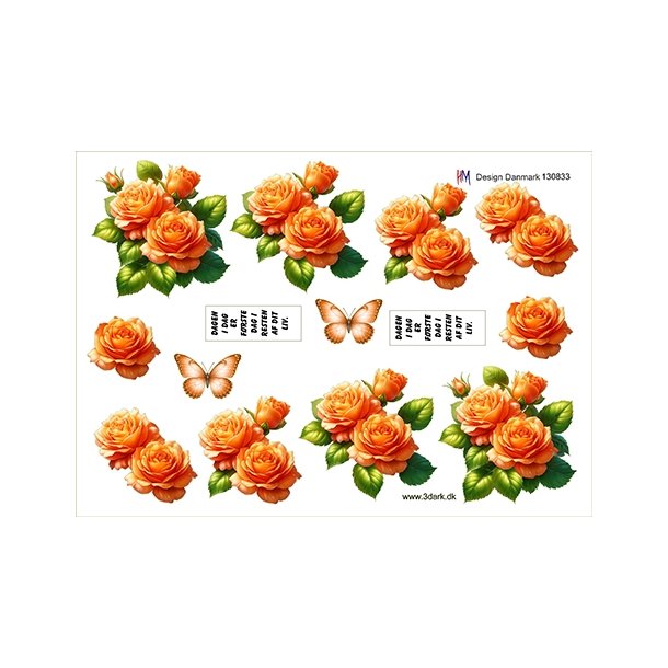3D Orange roser
