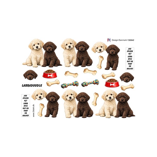 3D Labradoodle