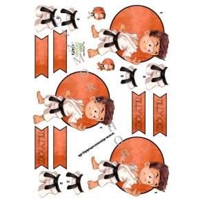 3D Karate dreng