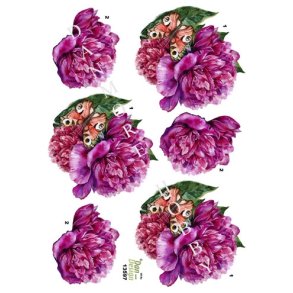 3D Pink bonderose