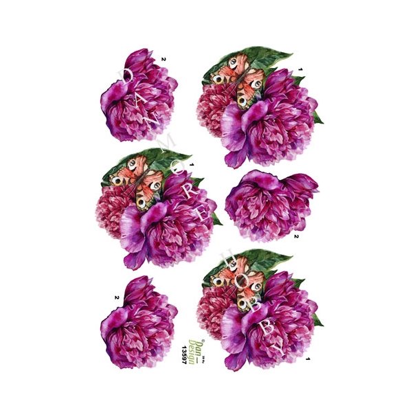 3D Pink bonderose