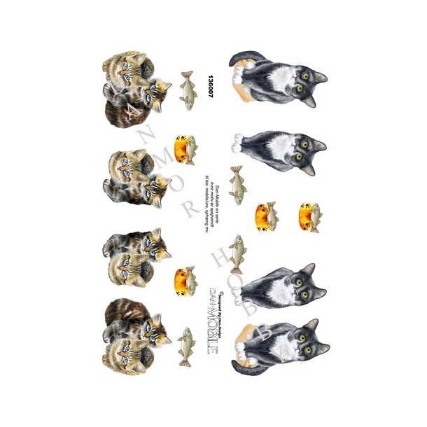3D  Dan-Mobile Katte