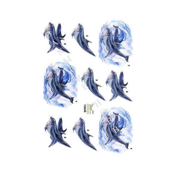  3D Delfiner