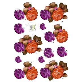  3D Roser