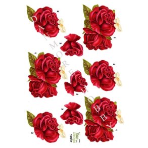 3D R�de roser