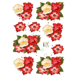  3D Hawaiblomster