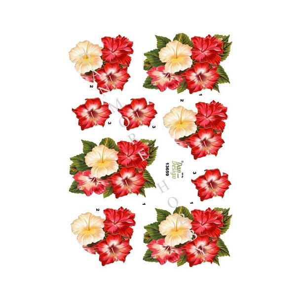  3D Hawaiblomster