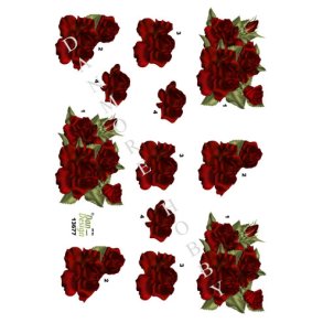  3D R�de roser