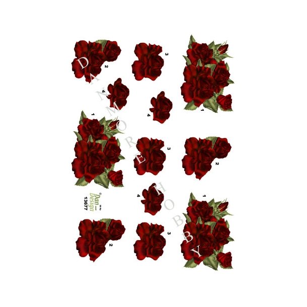  3D R�de roser