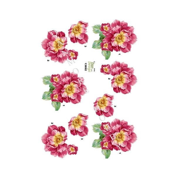  3D R�de blomster
