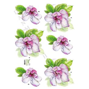  3D Blomster