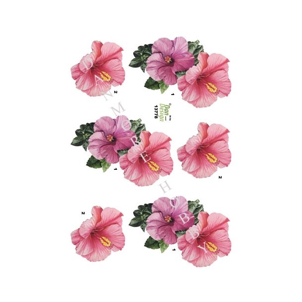  3D Hawaiblomst