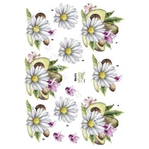  3D Blomster og avocado