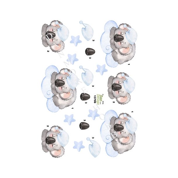  3D Koalabj�rn p� lysebl� sky