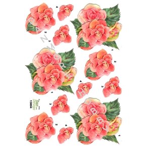  3D Lyser�de blomster