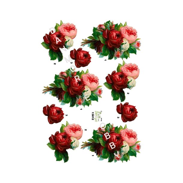  3D Roser