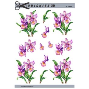 3D Lyslilla iris