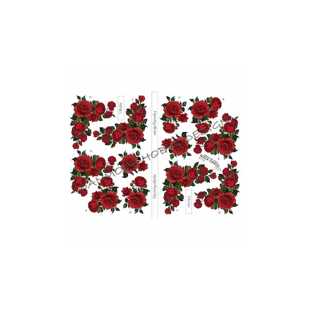 3D Roser