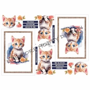 3D Quick Cards Kat