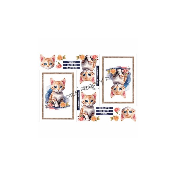 3D Quick Cards Kat