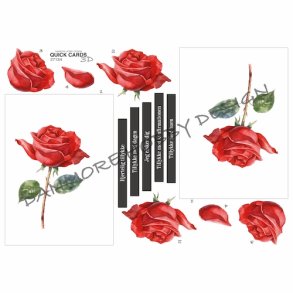 3D Quick Cards R�d rose