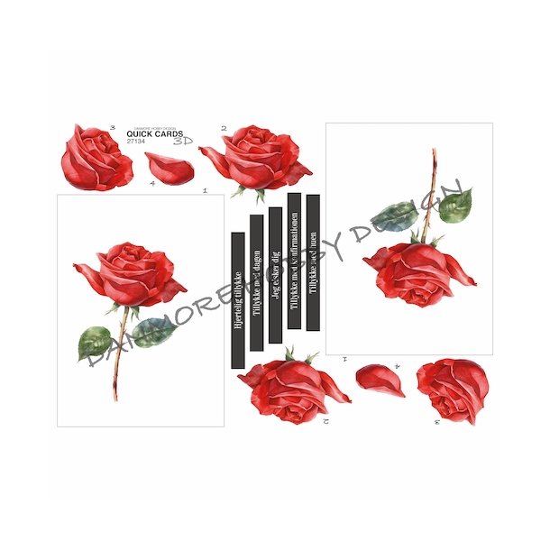 3D Quick Cards R�d rose