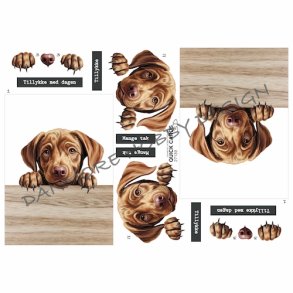 3D Quick Cards Hund