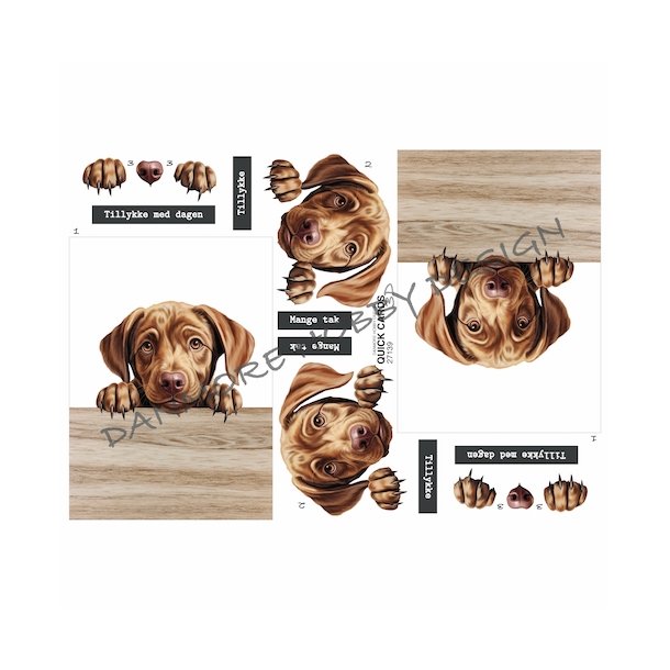 3D Quick Cards Hund