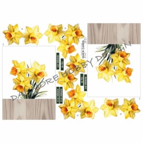 3D Quick Cards P�skeliljer