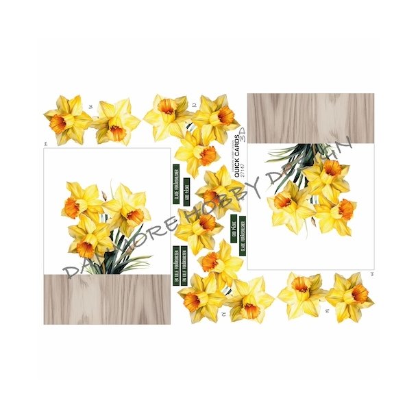3D Quick Cards P�skeliljer