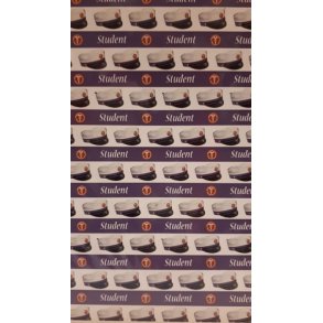 Felicita Design Student lilla 30,5x30,5cm 5 ens ark 200g