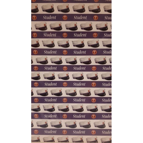Felicita Design Student lilla 30,5x30,5cm 5 ens ark 200g