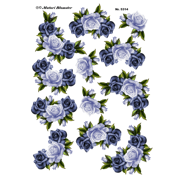  3D Bl� roser