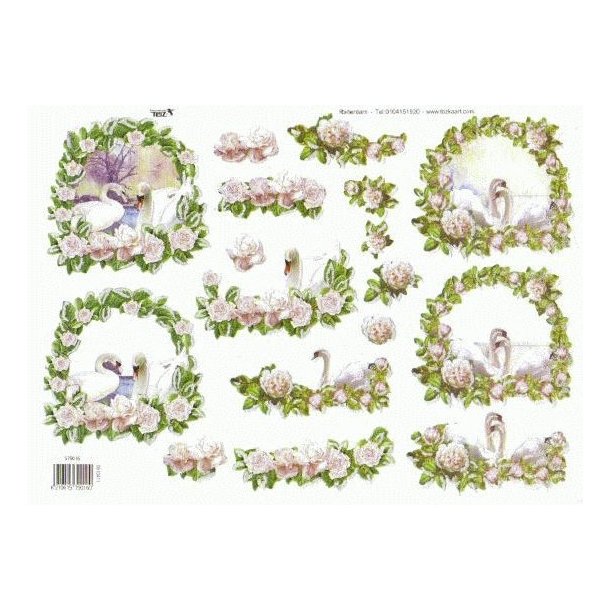 3D TBZ Svaner i blomsterranker 