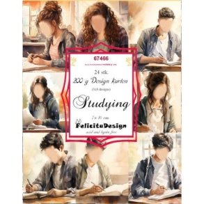 Toppers Studying 24 stk 7x10cm 200g