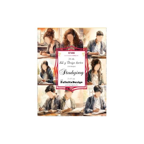 Toppers Studying 24 stk 7x10cm 200g