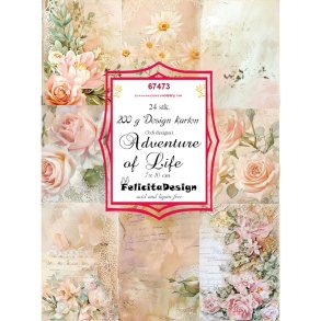Toppers Adventure af life 24stk 7x10cm 200g