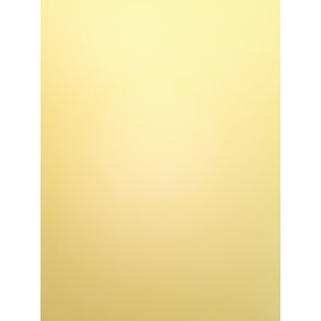  Folie gul 9,7x22,5cm selvkl�bende